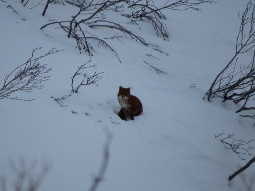 Ещё один...фотовыстрел)))