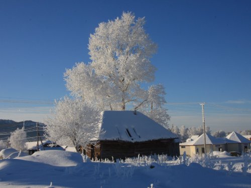 Морозец