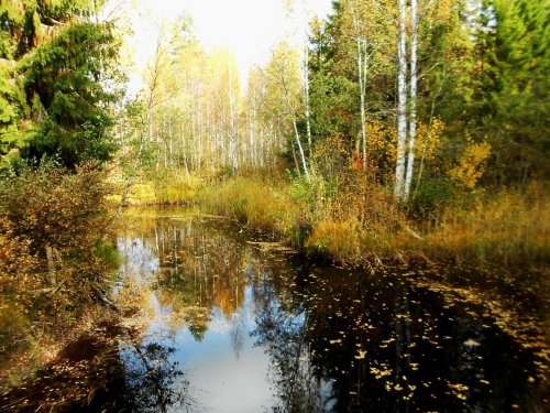 Осень.