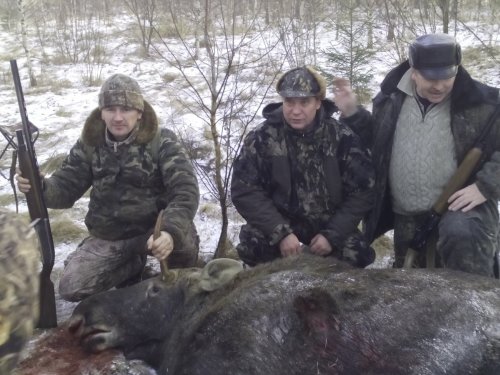 Закрытие сезона 2015 по копытным