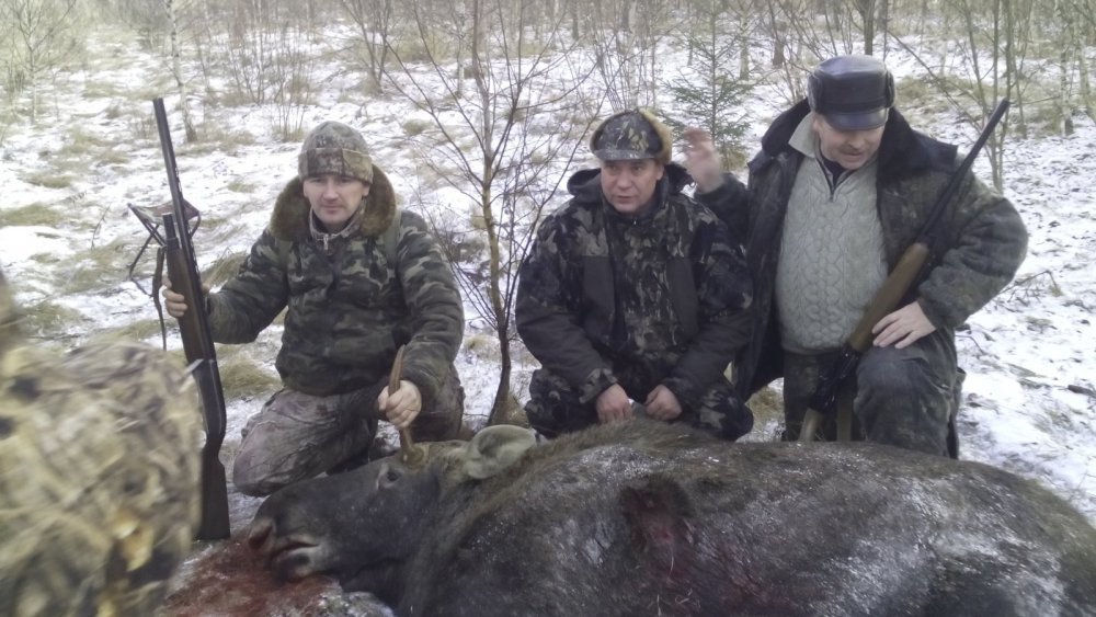Закрытие сезона 2015 по копытным