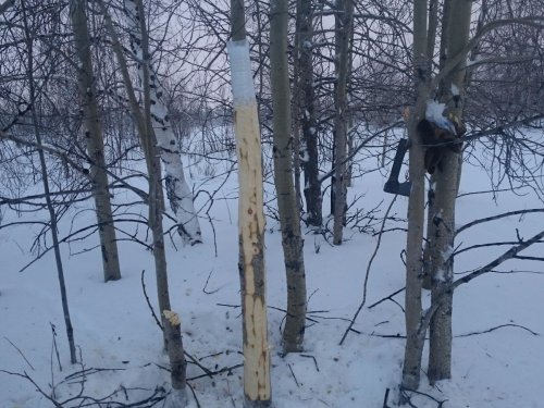 Подарки на Новый год.
