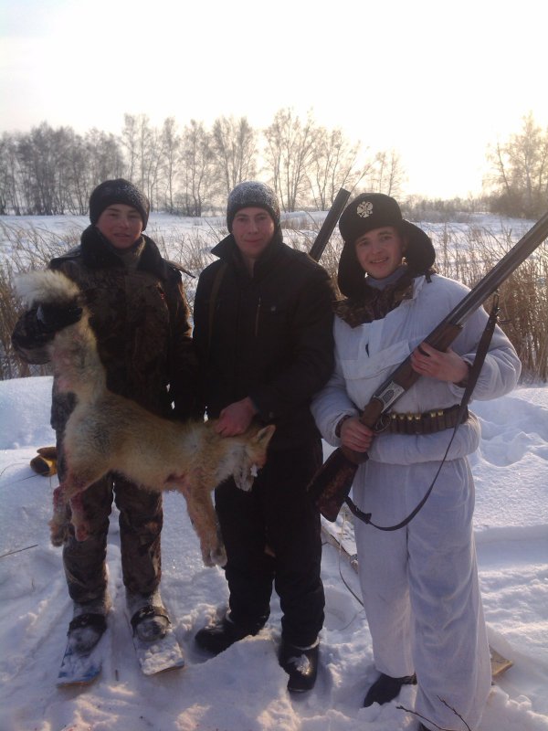 На лису загоном)