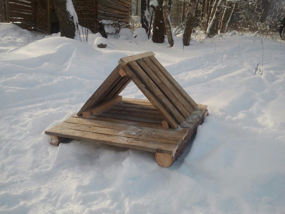Утиный домик