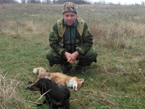 рыжая