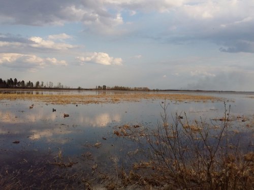 Весна скоро