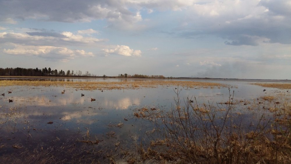 Весна скоро
