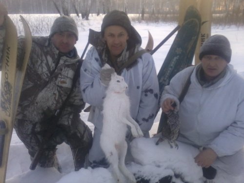 закрытие по зайцу 2016г.