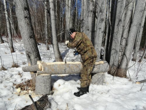 делаем солонец