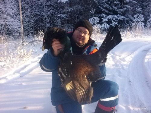 он же..красавчик..