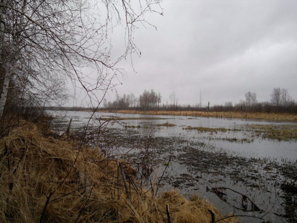 Весна