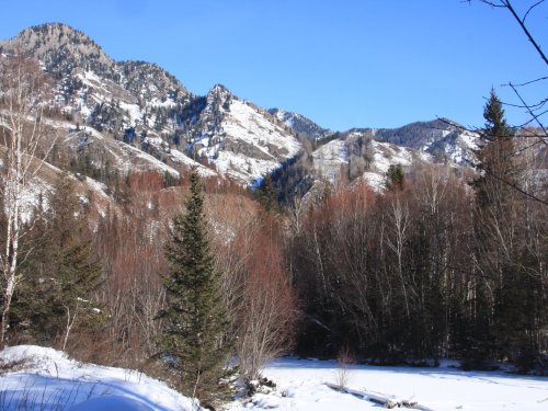 Алтай, Коргон