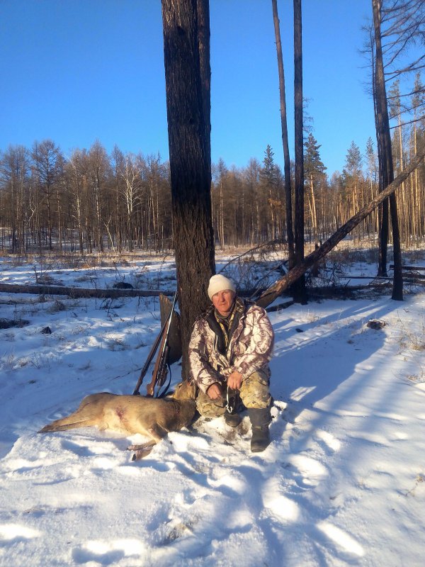 ноябрь 2015