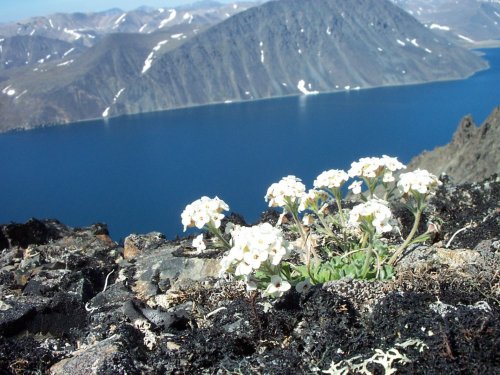 красота