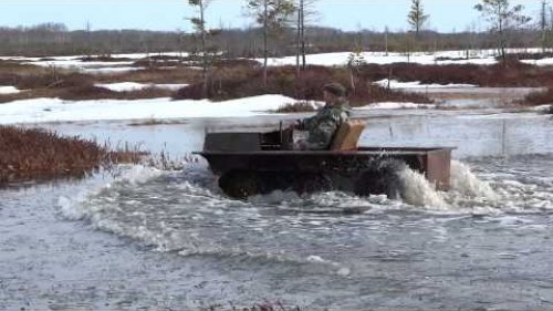 На болоте