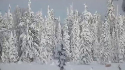 Видео клип о тайге. Промысел, охота и рыбалка. Сказочная тайга.