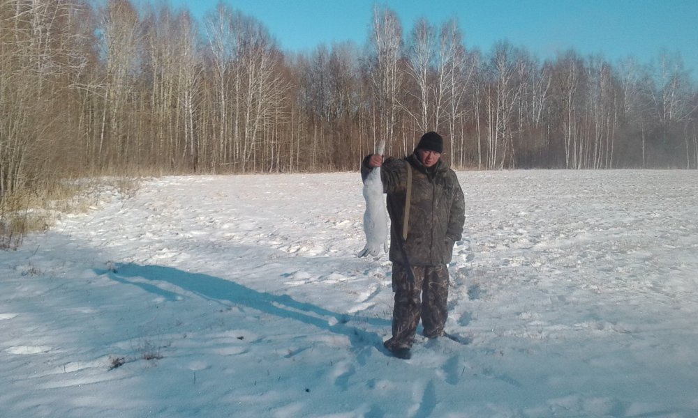 Попался косой