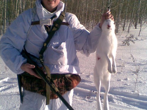 Трудовой заяц, подарок на рождество!