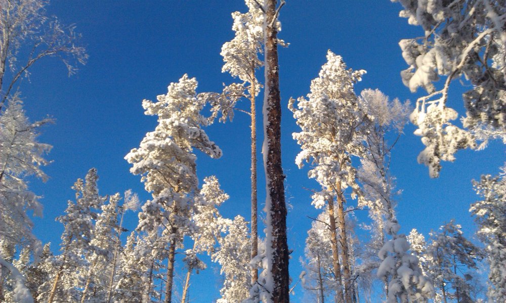 Небо