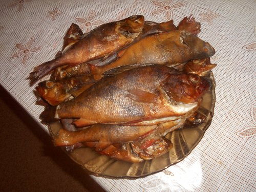 Молчановские окуни