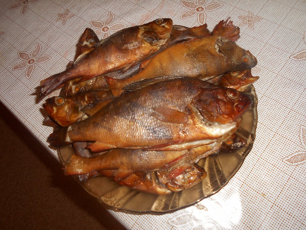 Молчановские окуни