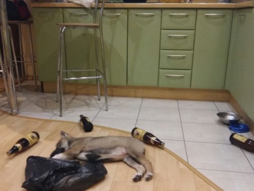 Готова.