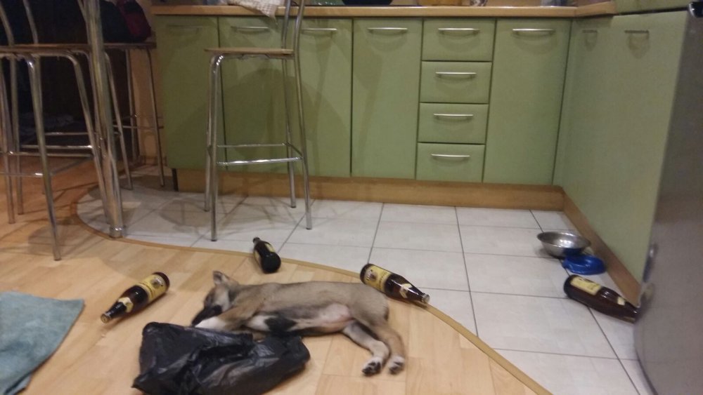 Готова.