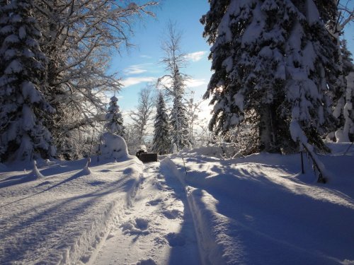 Январь 2016