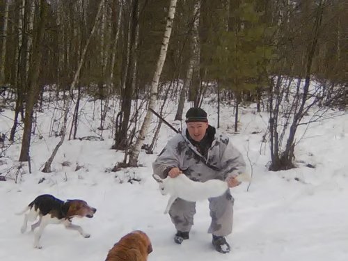 зайчик