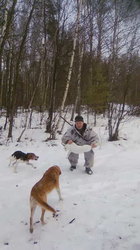 зайчик