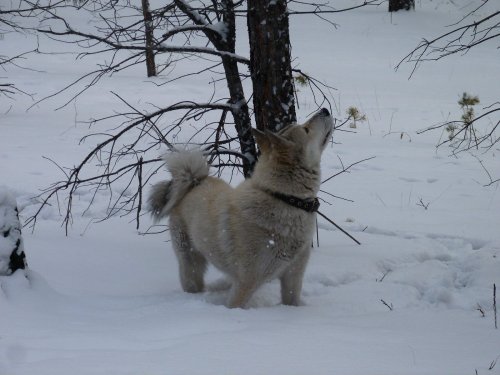 Заметила