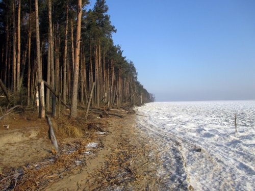 Залив январь 2016