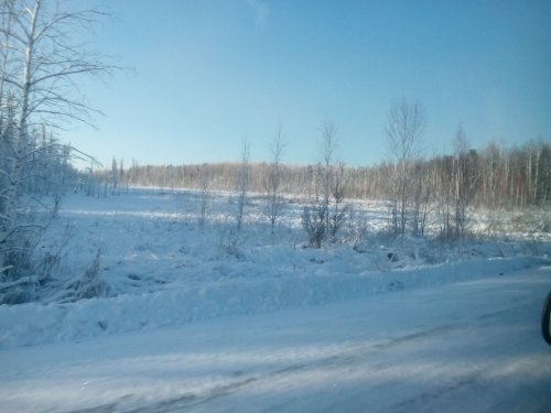 по дороге в кедровый
