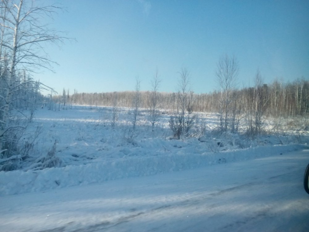 по дороге в кедровый