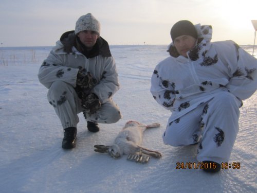 Трудовой!!!!