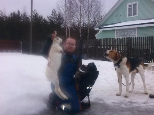 по приезду домой..дождь идёт-качество плохое:(