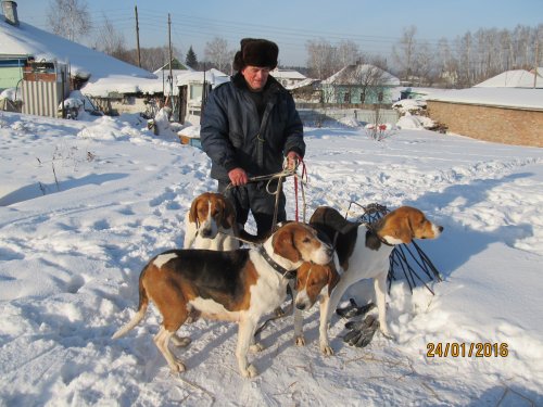 Тайна с дочками!