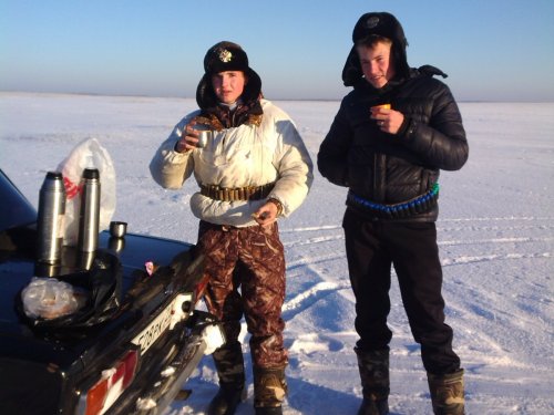 Хорош чаек на природе!