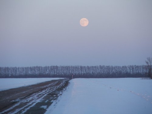 Дорога домой