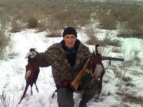 Фазаны продолжение.