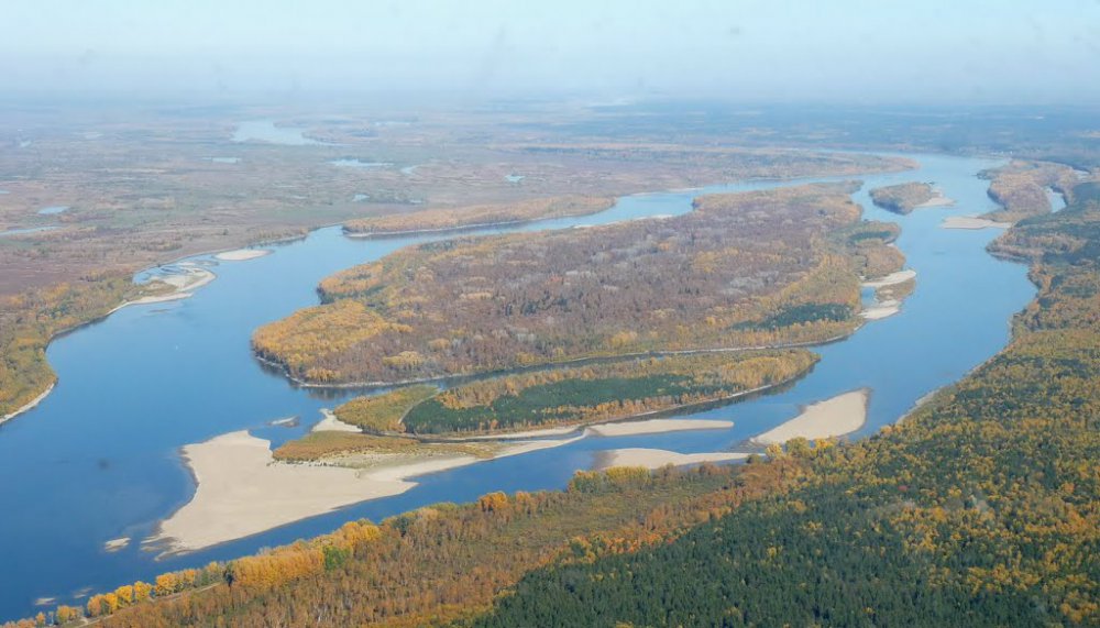 Остров Умревинский , река Обь