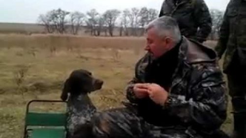 Самое смешное видео на охоте, принеси бутылочку.mp4