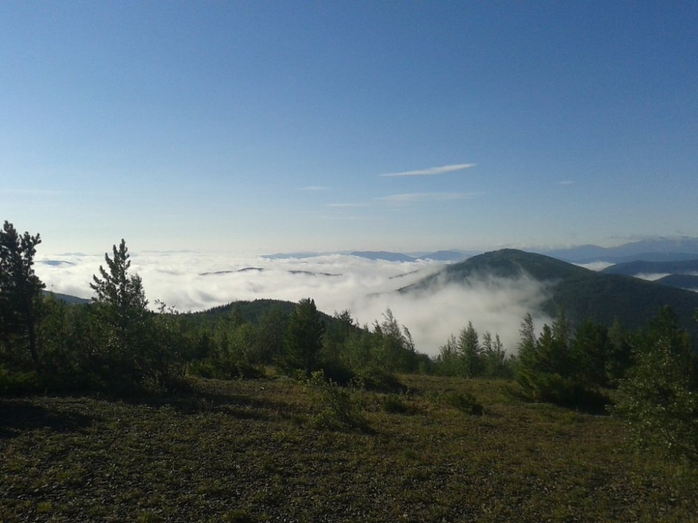 Предгорья Кузнецкого Алатау