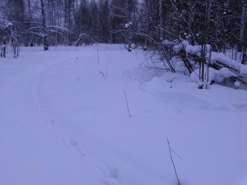 Так красиво все шло, но вернулись пустые)))