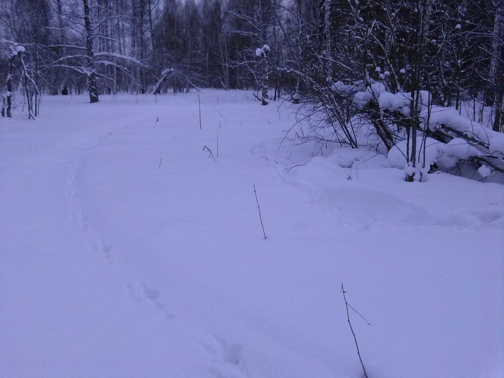 Так красиво все шло, но вернулись пустые)))