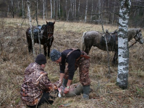 где то в Дубравах Алтая )))))))))