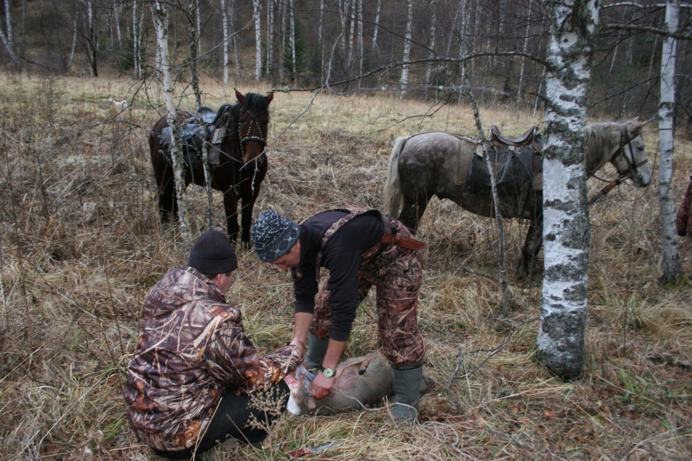 где то в Дубравах Алтая )))))))))