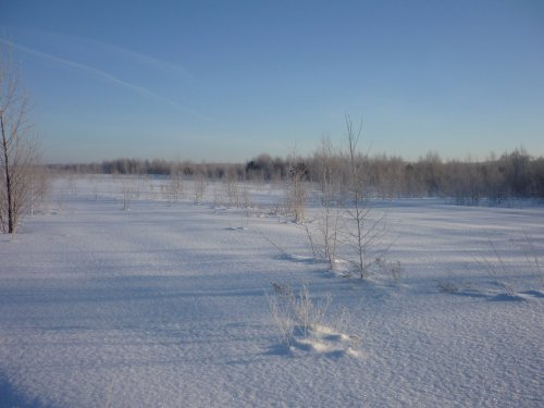 Брызги бриллиантов.