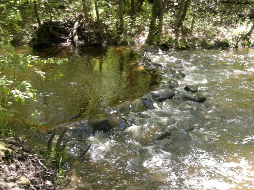 с. Шивки, Нерчинский район, Забайкальский край