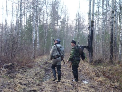 На глухарином току